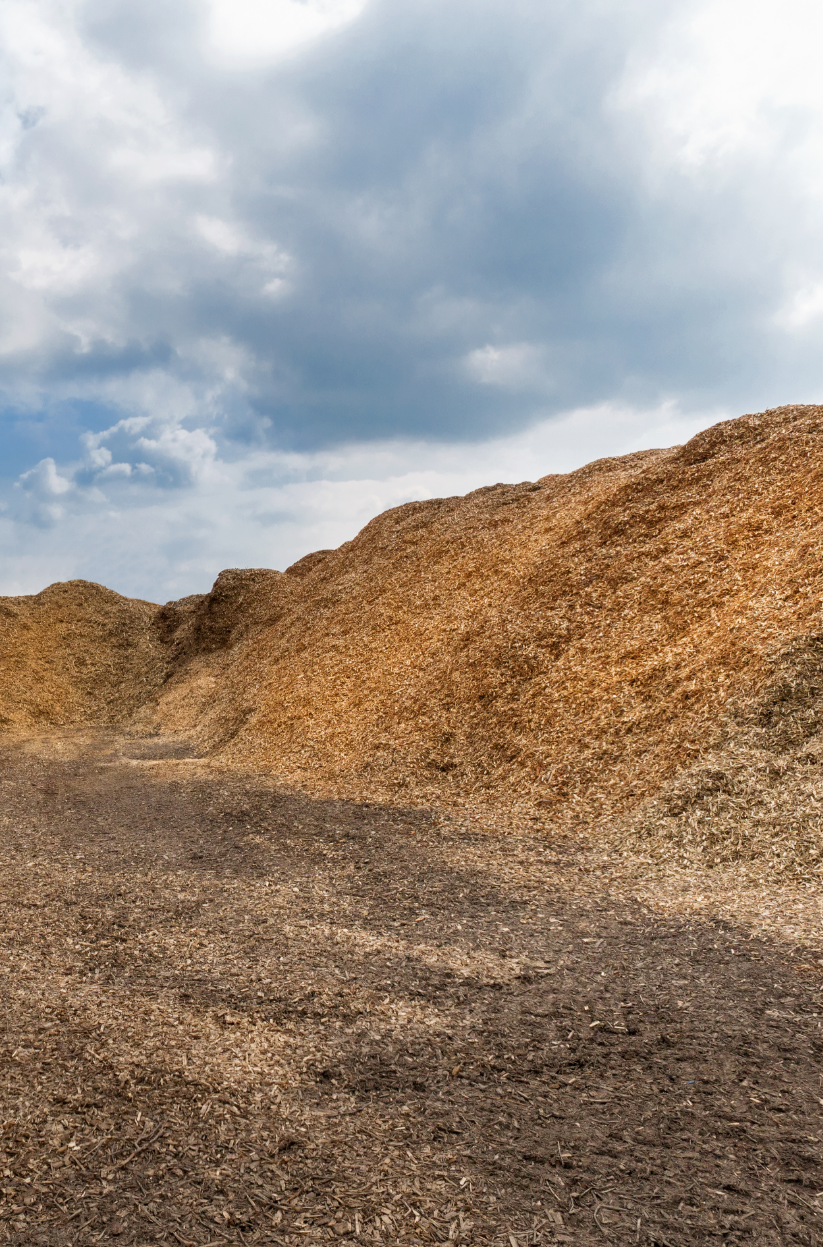 02_Kollektionen/Lösungen